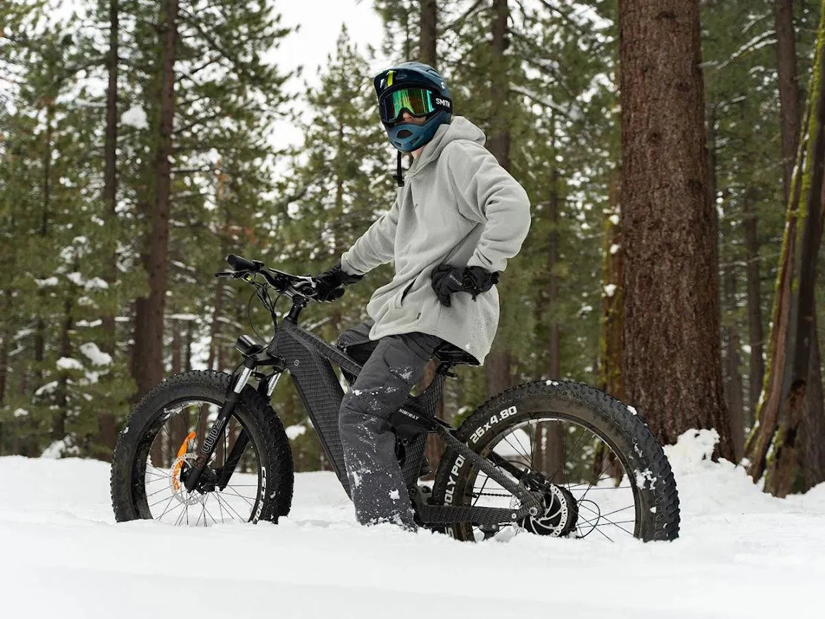 Himiway D7 Fat Tire Electric Bike | 1000W Hub Motor | 4.5" Tires