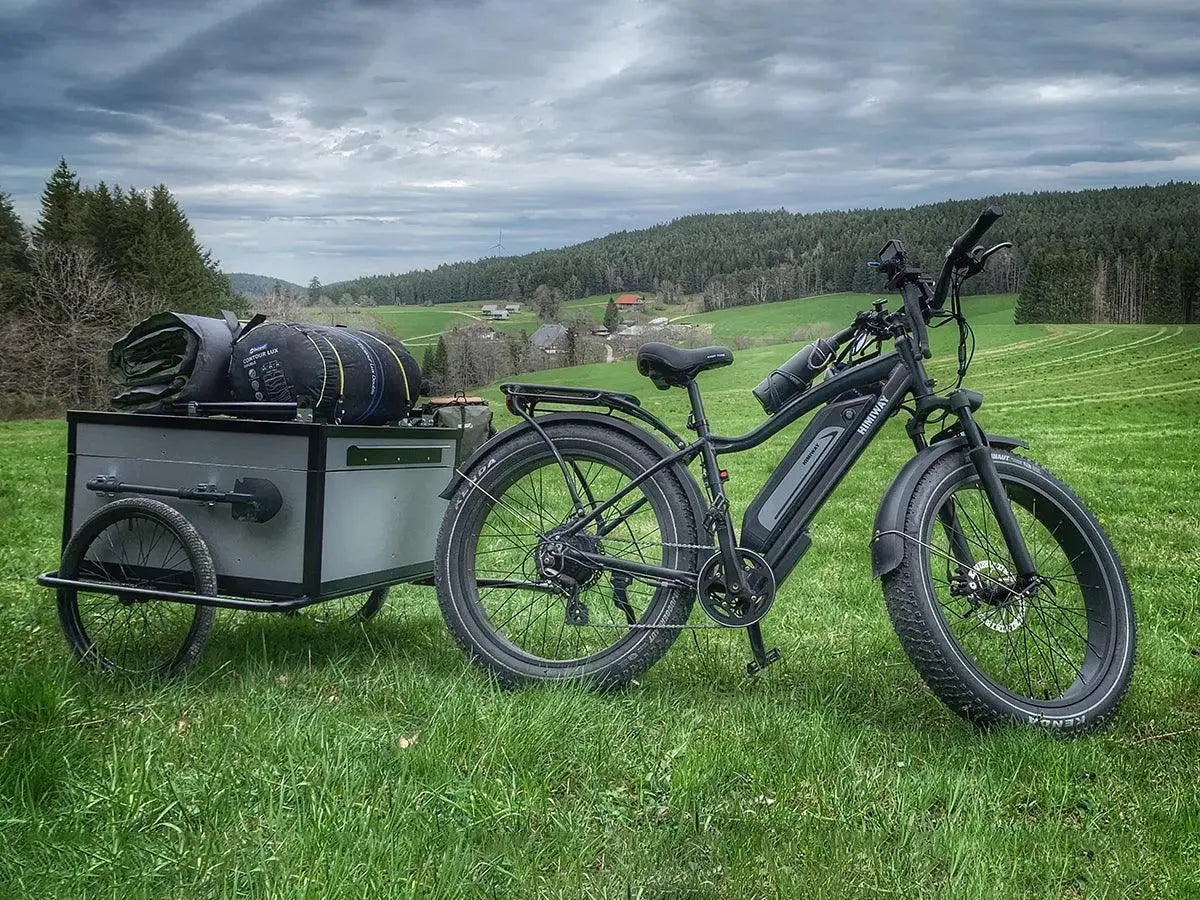 Himiway D3 Fat Tire Electric Bike | 750W Motor | 26" x 4.0" Tires