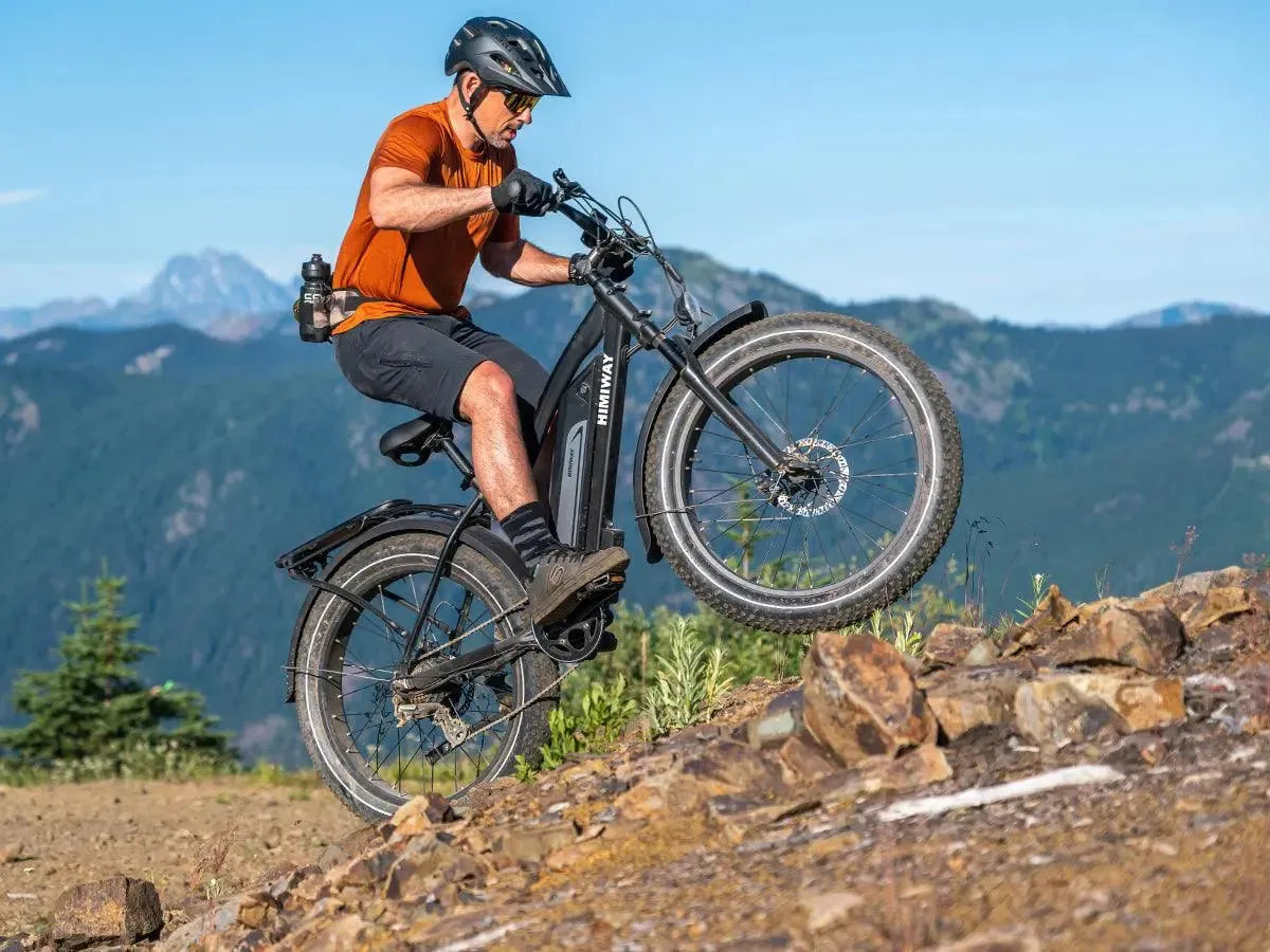 Himiway D3 Fat Tire Electric Bike | 750W Motor | 26" x 4.0" Tires