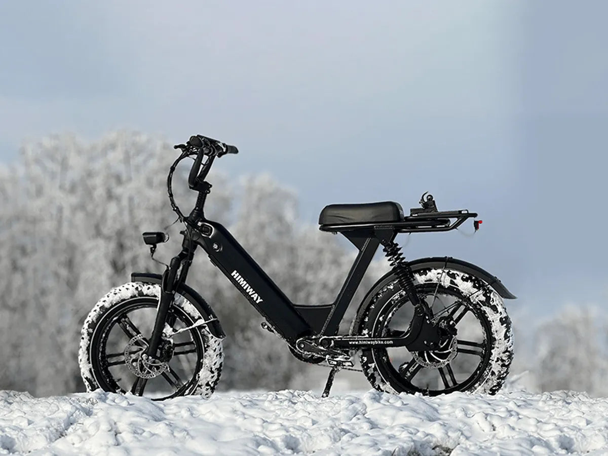 Himiway Escape Pro Moped-Style eBike | 750W | Dual Suspension